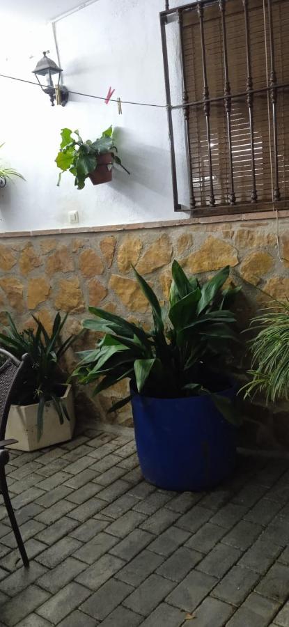 Affittacamere Casa Cueva El Almendro Pegalajar Esterno foto