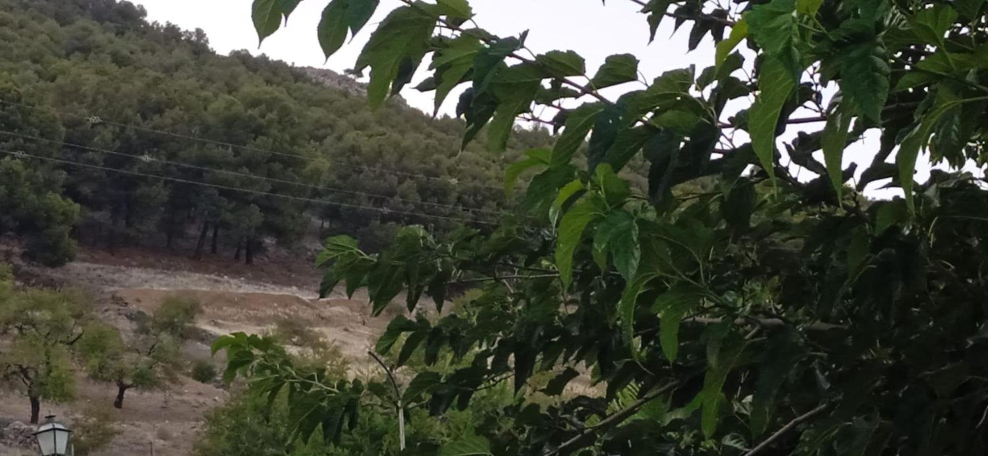 Affittacamere Casa Cueva El Almendro Pegalajar Esterno foto